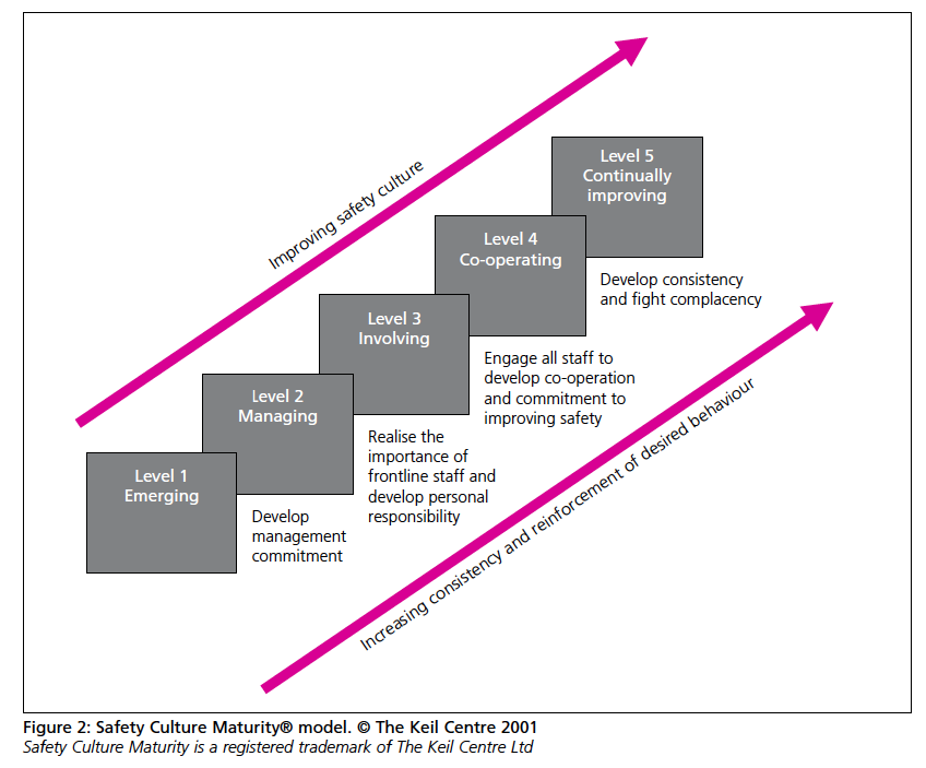 Screen Shot 2018-12-10 at 4.36.12 AM
